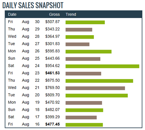 Daily Sales Snapshot